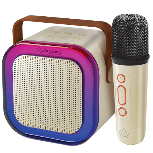 Audionic Boom Box 102