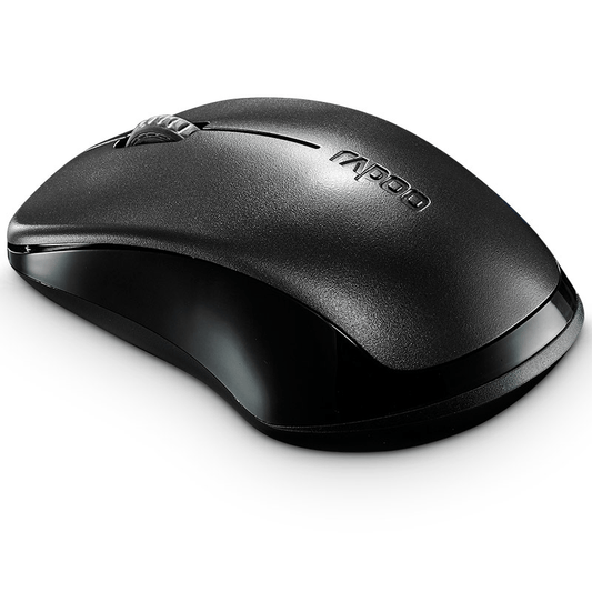 Rapoo 1620 Mouse