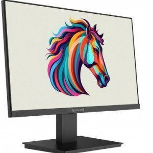 Redragon BM21V13 monitor 22inch Black