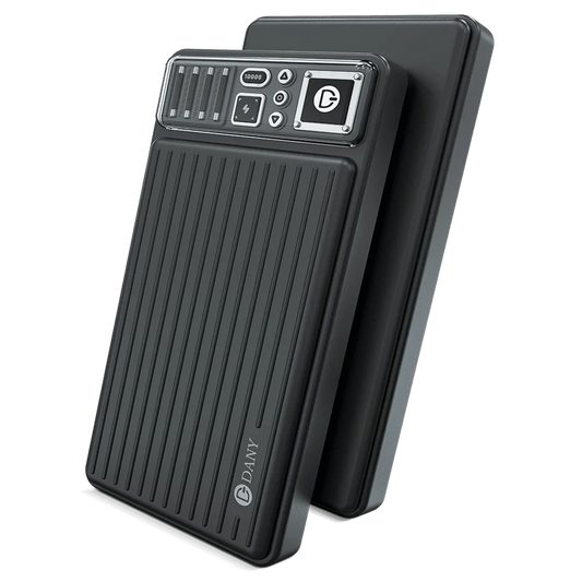 Dany Volt V-100 10,000 mAh