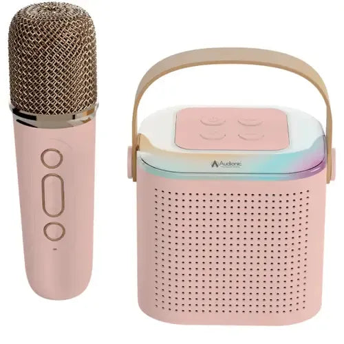 Audionic Boom Box 101 Speaker