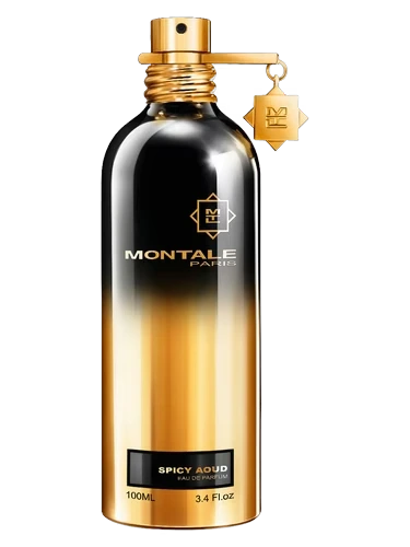 Montale Spicy Aoud for Unisex