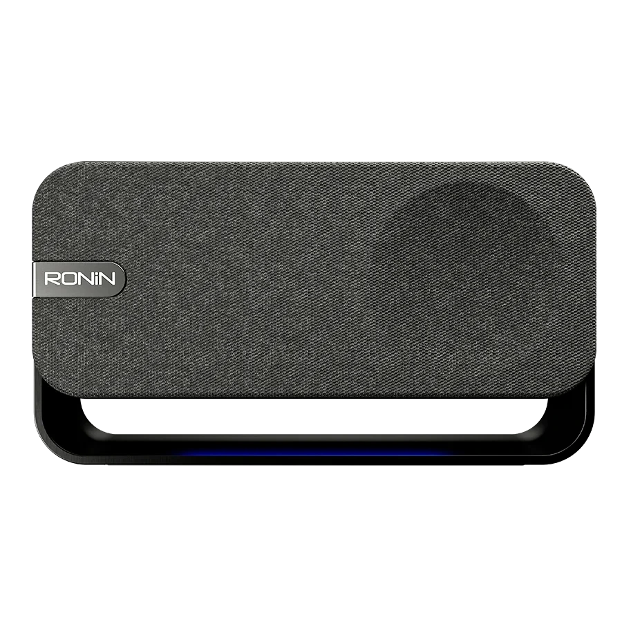 Ronin R-3030 Reverb Speaker