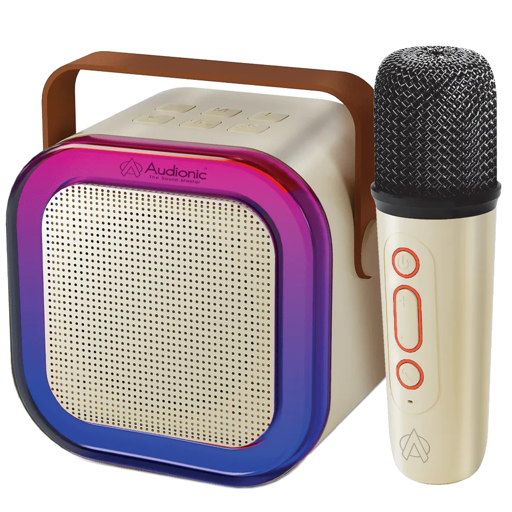 Audionic Boom Box 102