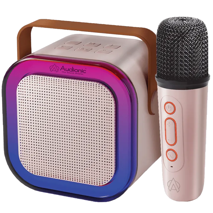 Audionic Boom Box 102 Speaker