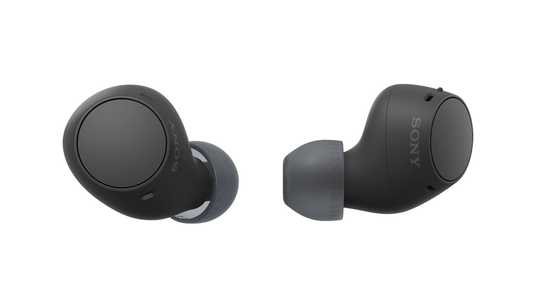 Sony WF-C510 Truly Wireless Earbuds