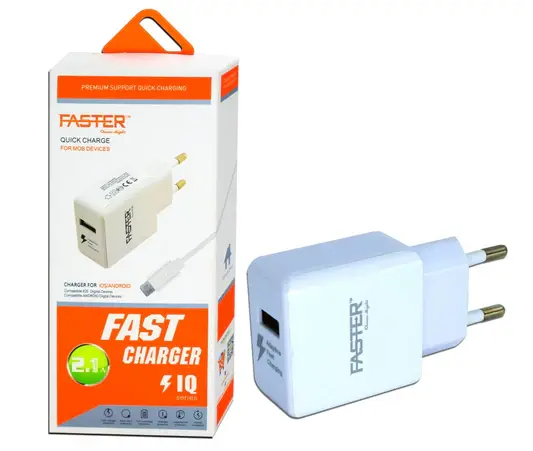 Faster FAC-901 24A Charger