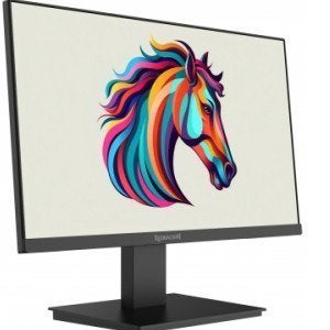 Redragon BM21V13 monitor 22inch Black 