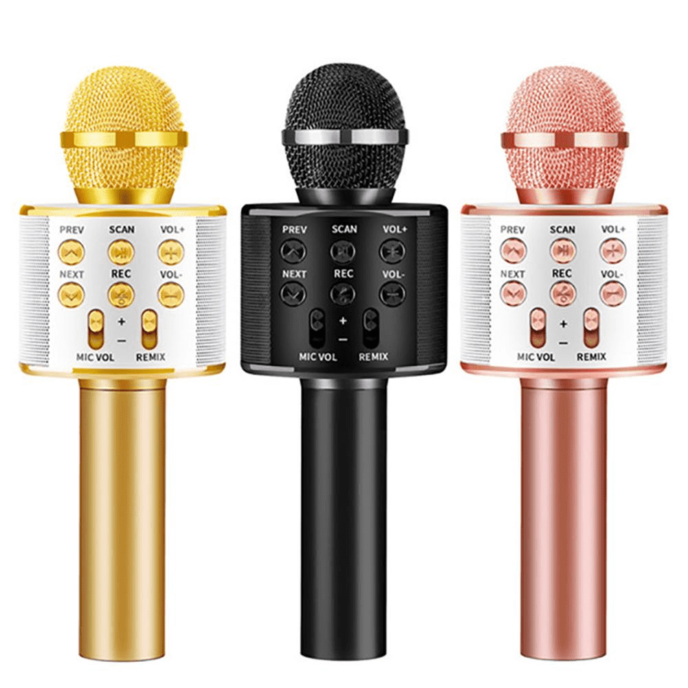 WS-858 Wireless Microphone