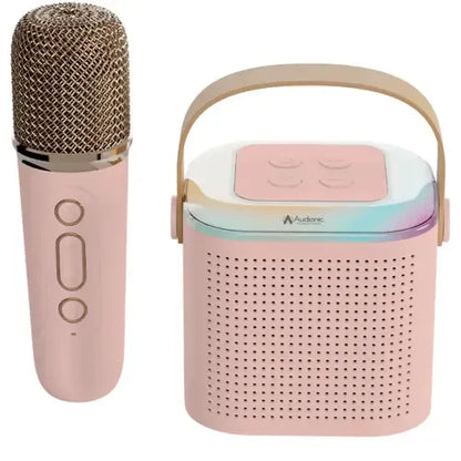 Audionic Boom Box 101 Speaker