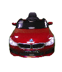 Toy Station BMW X1 (In Paint) 