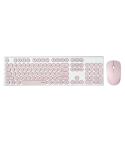 RAPOO X260 Keyboard and Mouse Combo